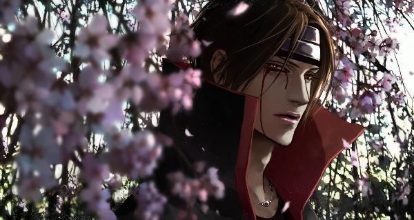 Itachi Uchiha World full of Sakura Trees